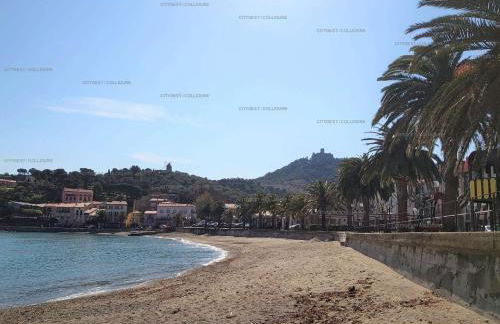 4SOL25 - Collioure charmante maison de village 150 m de la plage - Foto 23