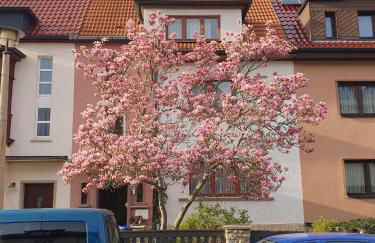 Ferienwohnung Thomas Szramek - Foto 2