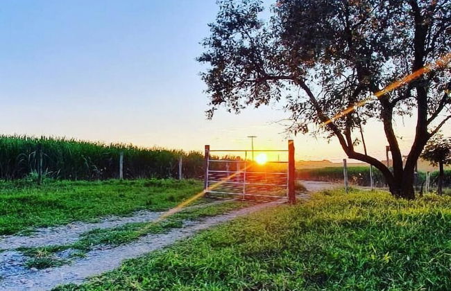 Sítio Refúgio do Alto - Photo 77