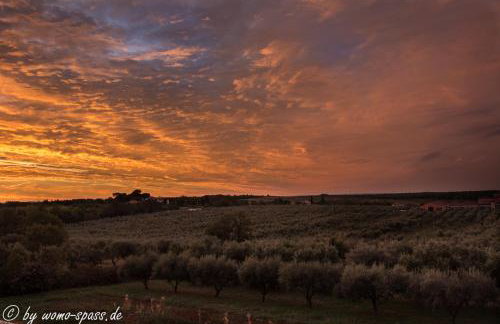 Apartments Rosa - Foto 14
