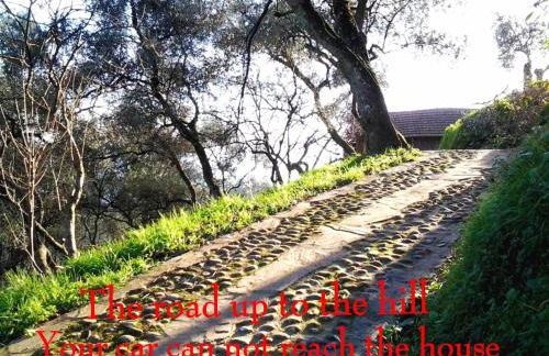 Agriturismo Terre Rosse Portofino - Foto 28