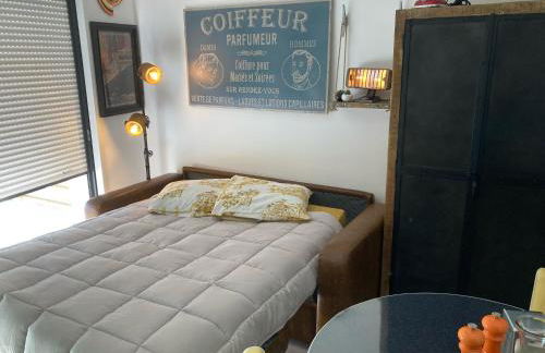 Studio neuf déco vintage face mer,terrasse ,jardin,wifi,parking sous-sol - Foto 25