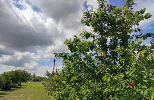 Agroturystyka Kobylnica nad Wisłą - Foto 55