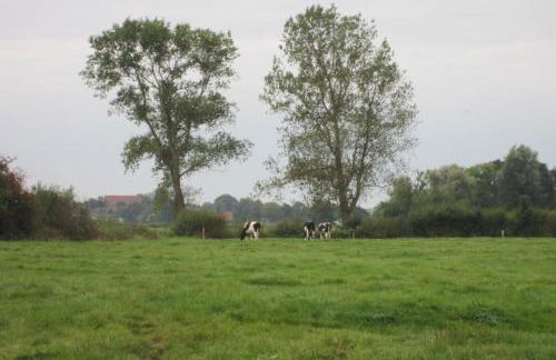 Hof Becker - Weidenblick - Photo 6