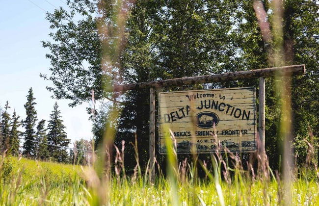 Escursione a Salcha, Delta Junction e Summit Lake - Foto 4