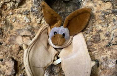 La Lézardière Maison troglodyte aux Eyzies Périgord - Photo 17