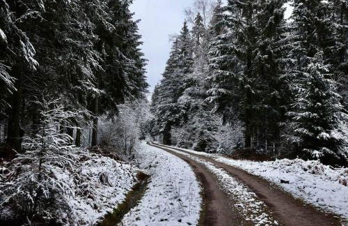 Altes Zollhaus - Foto 57