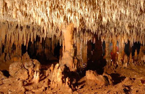 IL Rustico di Giò - Foto 36