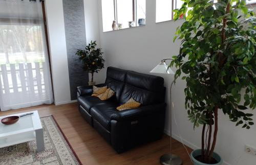 FeWo Dolium Bernkastel-Kues Graach - Foto 11