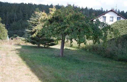 Schwarzwaldblick - Foto 40