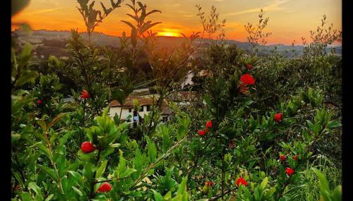 Agriturismo Casale Ugolini - Foto 3