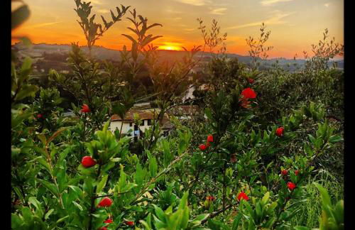 Agriturismo Casale Ugolini - Foto 3