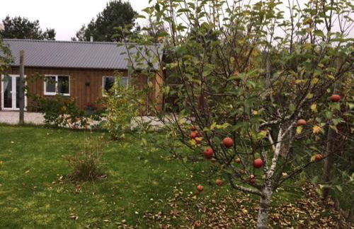 Roe Deer Cottage - Foto 7