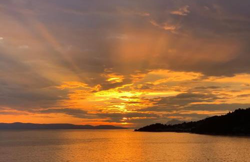 Sobe Kraft 1 - Photo 24