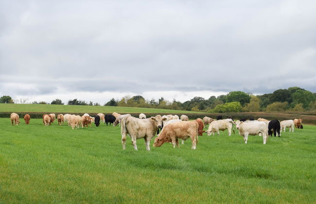 New Luxury 1-bed House nr Bicester Village - Foto 13