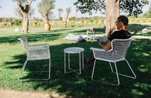 Gli Ulivi di Gino - Foto 35