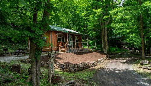 Treehouse Cabin in Riverton, WV - Foto 5
