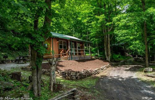 Treehouse Cabin in Riverton, WV - Foto 5