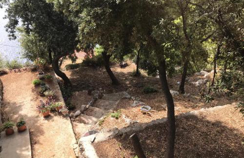 Apartments Marin - Foto 8