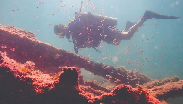 Immersione alla scoperta di un relitto