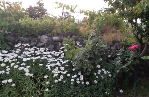 La Celestina - Foto 4