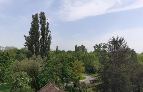 Appartement sur les bords de l'Ill - Foto 12