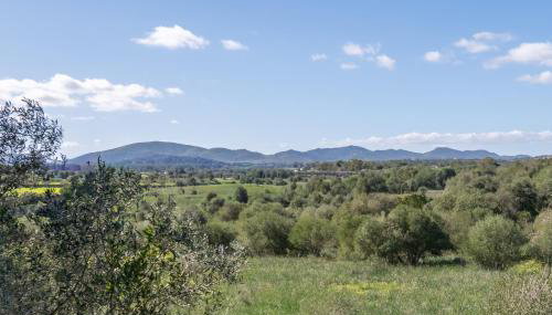 Villas2meet Son Rapinya Portocristo - Foto 5