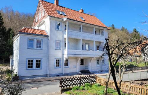 Haus Am Beckerberg im Harz - Foto 6