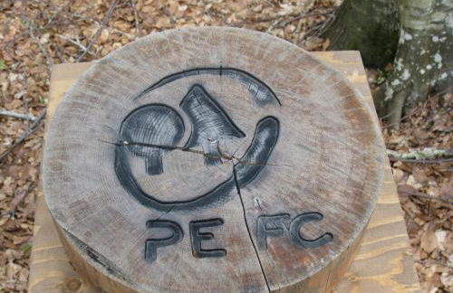 Casa nel bosco alle Macinaie - Foto 28