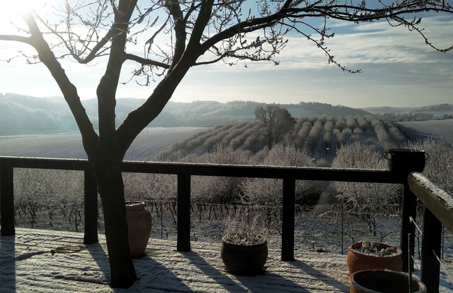 Moja Mała Toskania - Foto 58