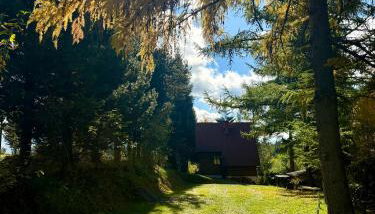 Domek pod Modrzewiem - Foto 5