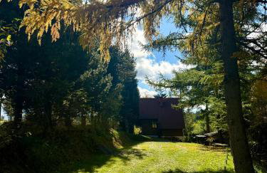 Domek pod Modrzewiem - Foto 5