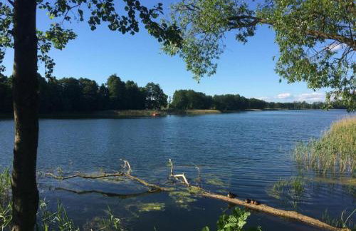 Domek dla Młodzieży i Dorosłych W Sercu Mazur Różana - Foto 1