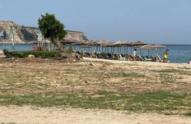 Sempre Viva - Foto 29