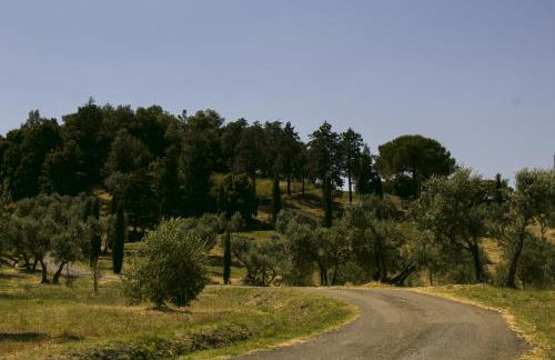 Agriturismo Aia Leccioni - Foto 34