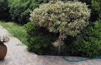 Ellora Suite - Foto 73