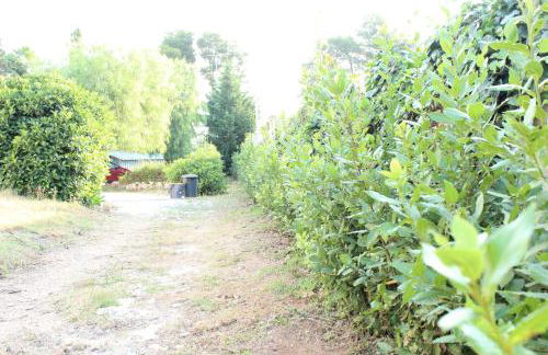 Boat dreams , garden relax - Foto 21