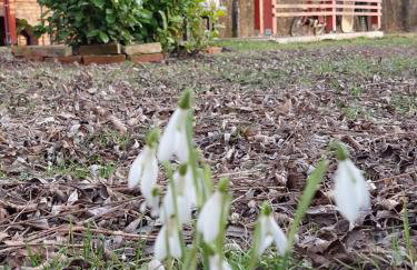 House Kupa MB - Foto 51