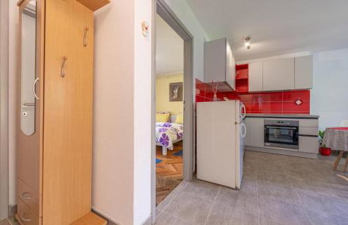 Beautiful Apartment In Pazin With Wifi - Foto 6