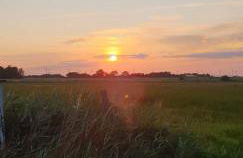 Ferienhaus Hoddebüll nah an der Nordsee - Foto 57