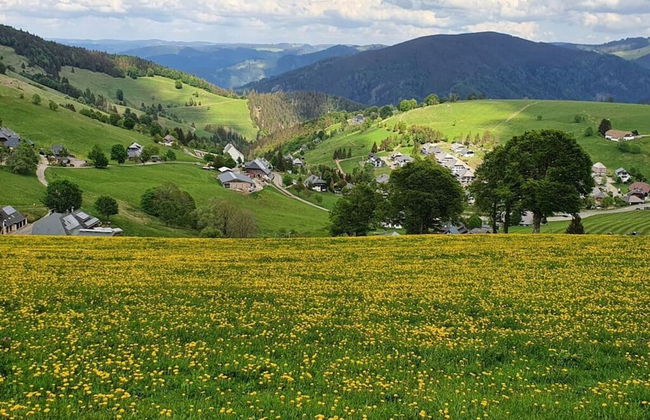 Landhuis Appartement Feldberg Uitzicht - Foto 17