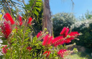 Au lagon de thau - Foto 11