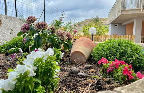 Casa vacanze Villa Serena - Foto 16