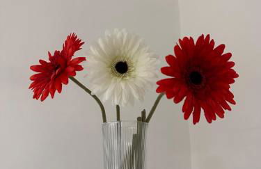 La casa di Stella - Foto 8