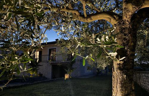 Apartman Ostrea *** - Foto 40