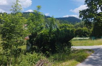 Górska Polana, Stronie Śląskie - Młynowiec - Foto 25