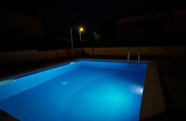 Palm Blues - Photo 27