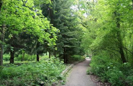 Haus Waldidyll - Foto 24