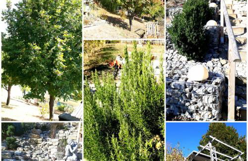 Ferienwohnung Hornig Zwei Terrassen, Parkplatz, separater Eingang - Foto 35