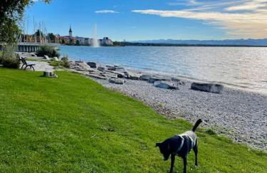 Apartment Chardonnay in Seenähe - Foto 35